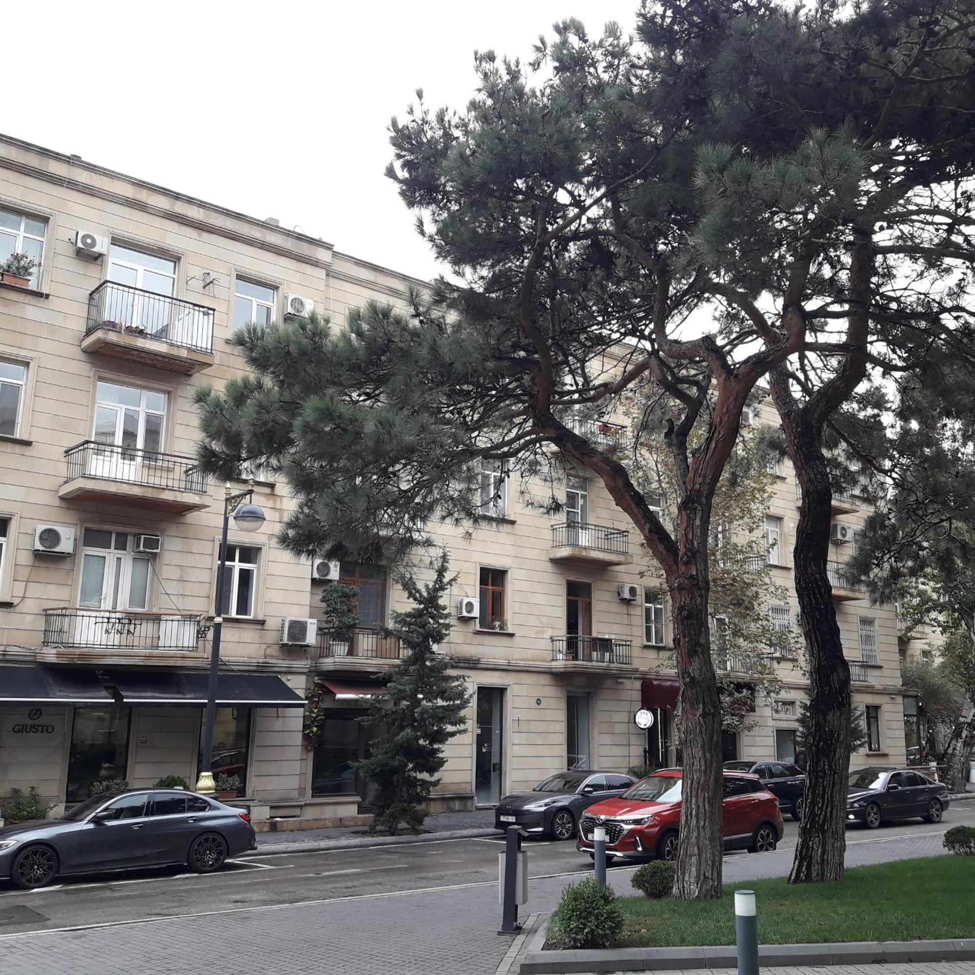 Apartment Niyazi 5 Баку Экстерьер фото